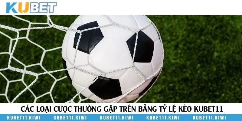 Tổng hợp những hình thức đặt cược cơ bản trong kèo 0.5/1