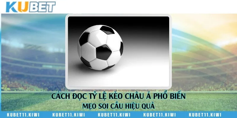Cách đọc tỷ lệ kèo châu Á phổ biến & Mẹo soi cầu hiệu quả