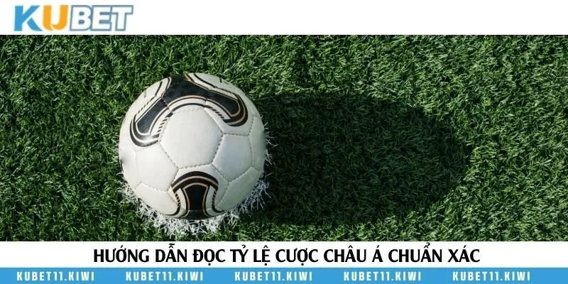 Tổng hợp các tỷ lệ thường gặp trong kèo bóng đá Châu Á