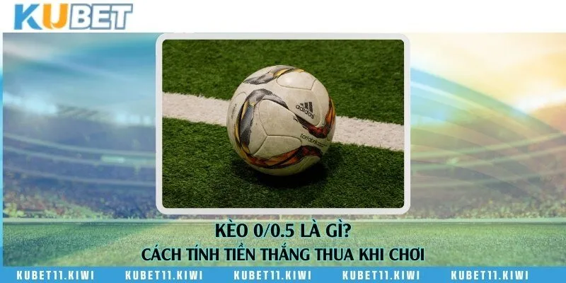 Kèo 0/0.5 là gì? Cách tính tiền thắng thua khi chơi