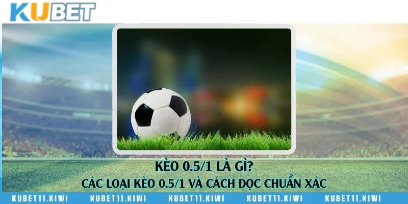 Kèo 0.5/1 là gì? Các loại kèo 0.5/1 và cách đọc chuẩn xác