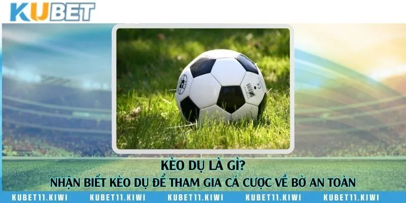 Kèo dụ là gì? Nhận biết kèo dụ để tham gia cá cược