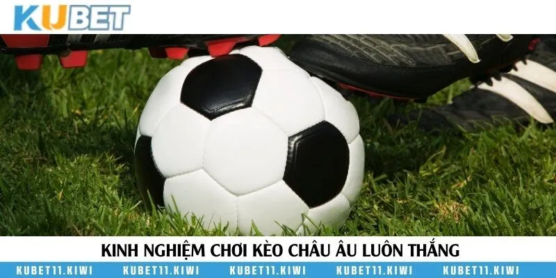 3 mẹo đặt cược bất bại được tổng hợp từ cao thủ