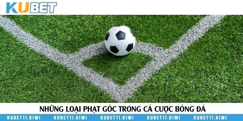 6 loại kèo đá phạt góc được ưa chuộng nhất trong cá cược thể thao