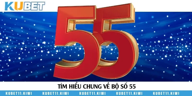 Giới thiệu về những con số trong bộ đề 55 